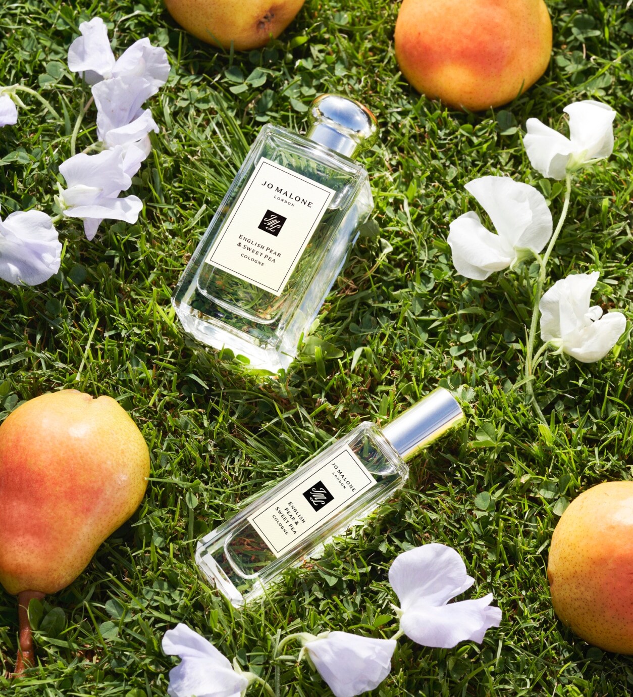 Des fleurs roses de pois de senteur et une bouteille de Cologne English Pear & Sweet Pea de 100 ml devant une grosse prop de poire, sur une colline rocheuse et dorée.